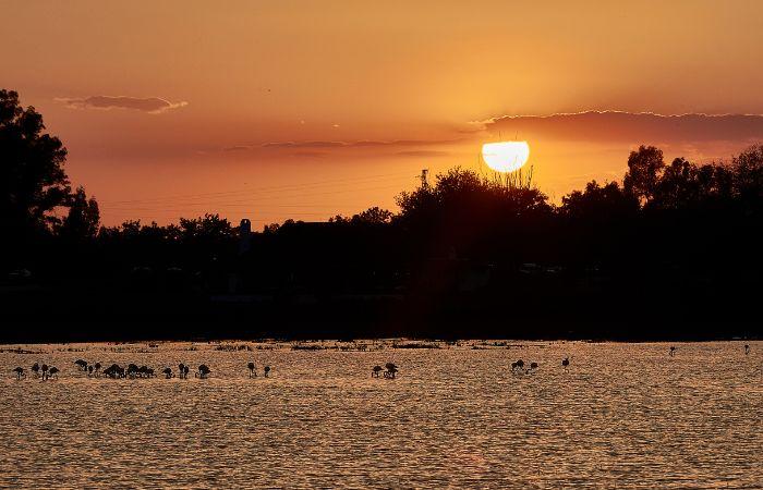 Sonnenuntergänge: in Doñana