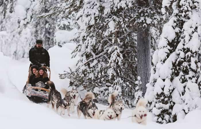 Familien-Schlittentour in Lappland mit Kindern