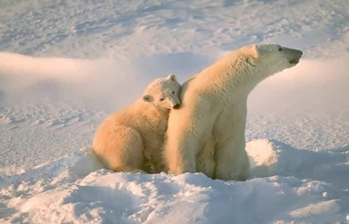 Lappland mit Kindern Zoo-Besuch