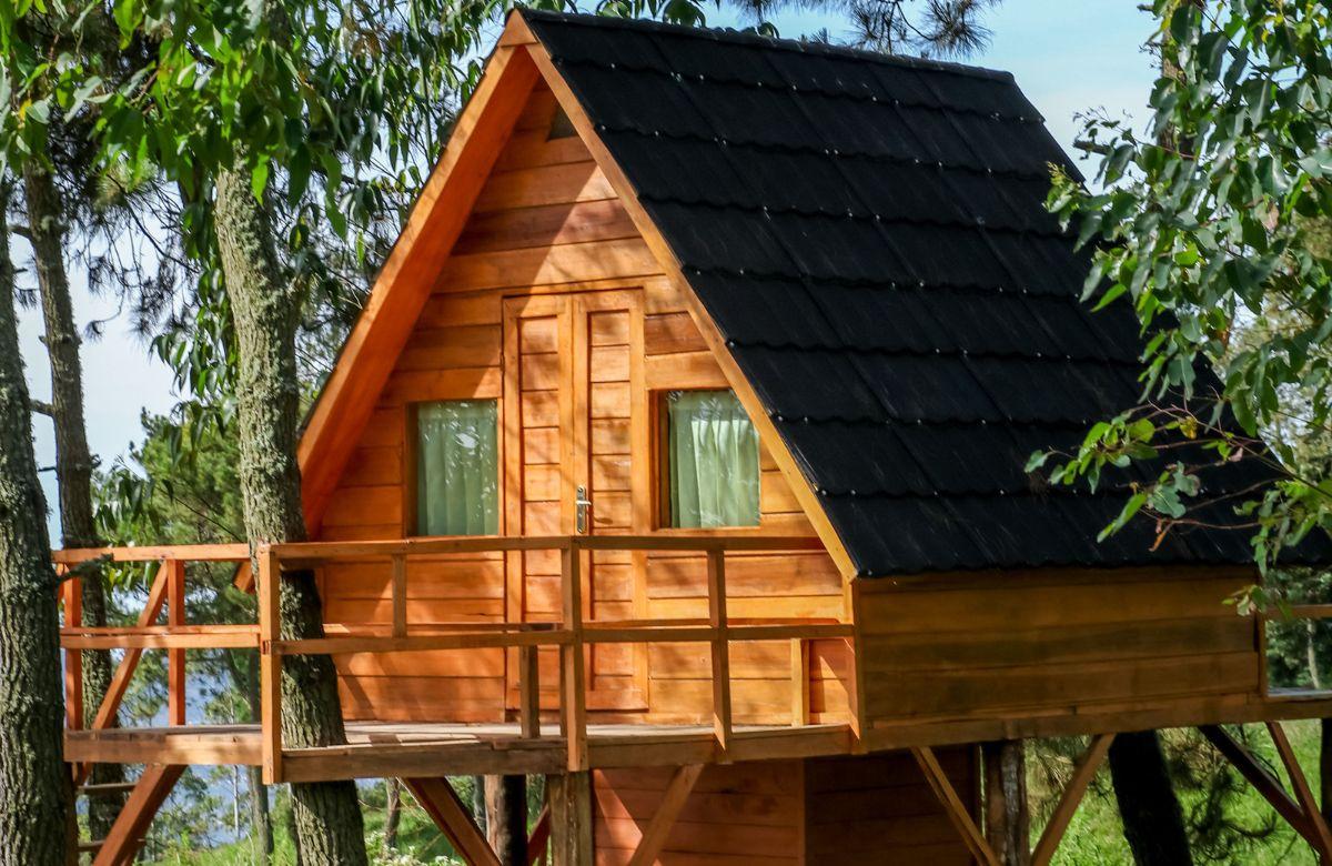Dormire in una cabina sugli alberi