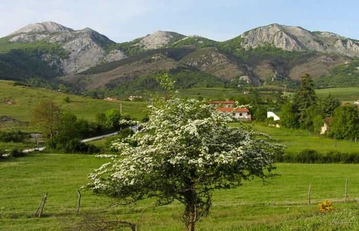 Agrotourismus im Baskenland