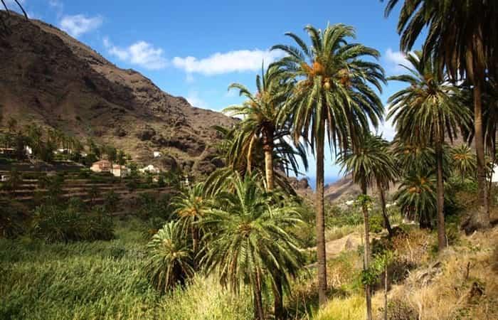turismo rurale per canarias