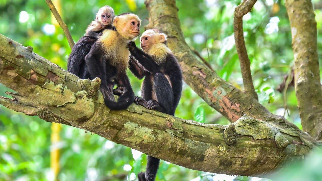 Wanderwege in Costa Rica