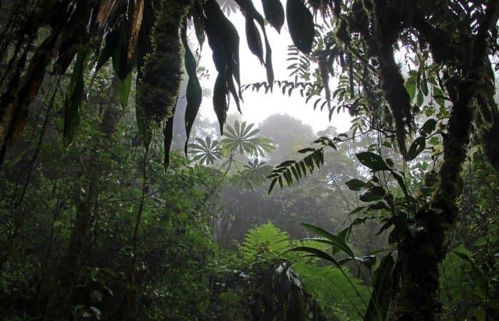Wanderwege in Costa Rica