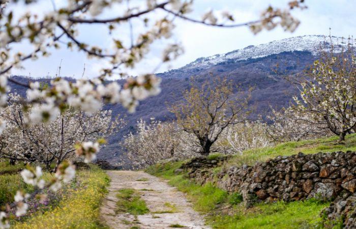 Routen, um das Valle del Jerte im Frühling zu genießen