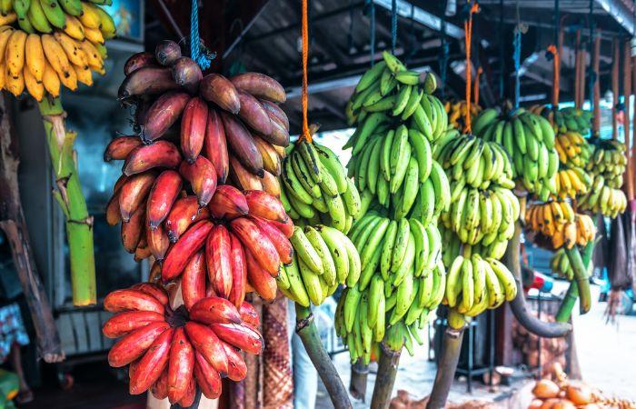 Bananenmarkt Indien Madurai