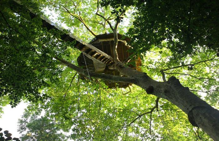 schlafen zwischen den Bäumen Frankreich Normandie
