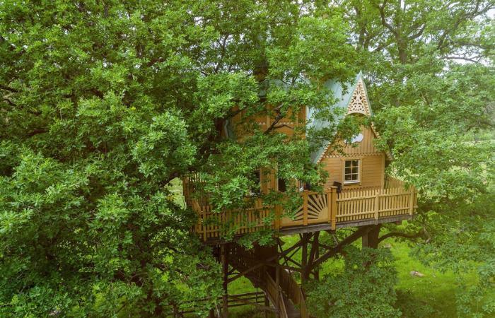 Islanna Trädhushotell Schweden schlafen zwischen den Bäumen