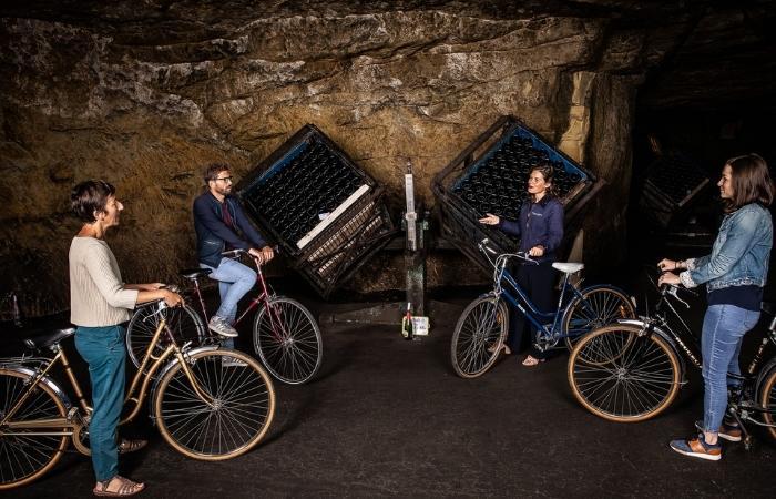 Aktivitäten zur Weinlese in der Loire