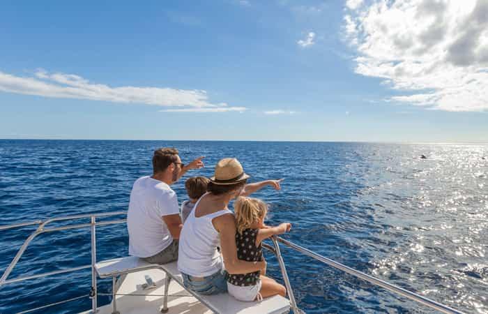 Walbeobachtung auf Teneriffa