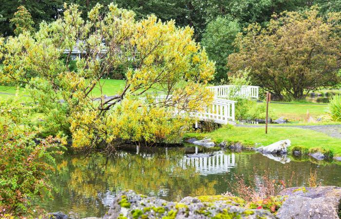 Laugardalur-Park in der isländischen Hauptstadt