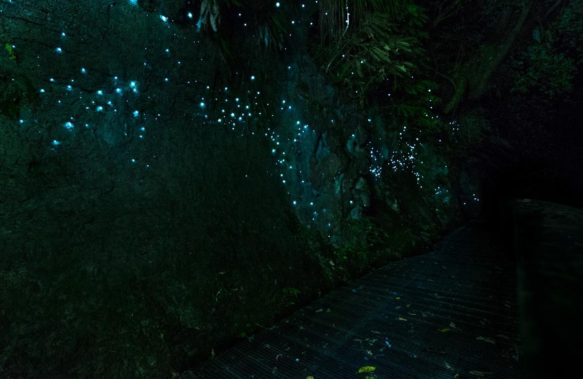 stille Orte Waitomo-Höhlen