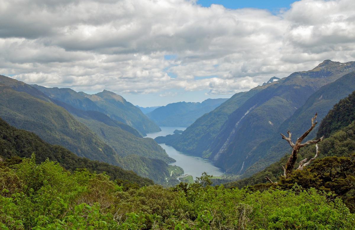 Doubtful Sound stille Orte