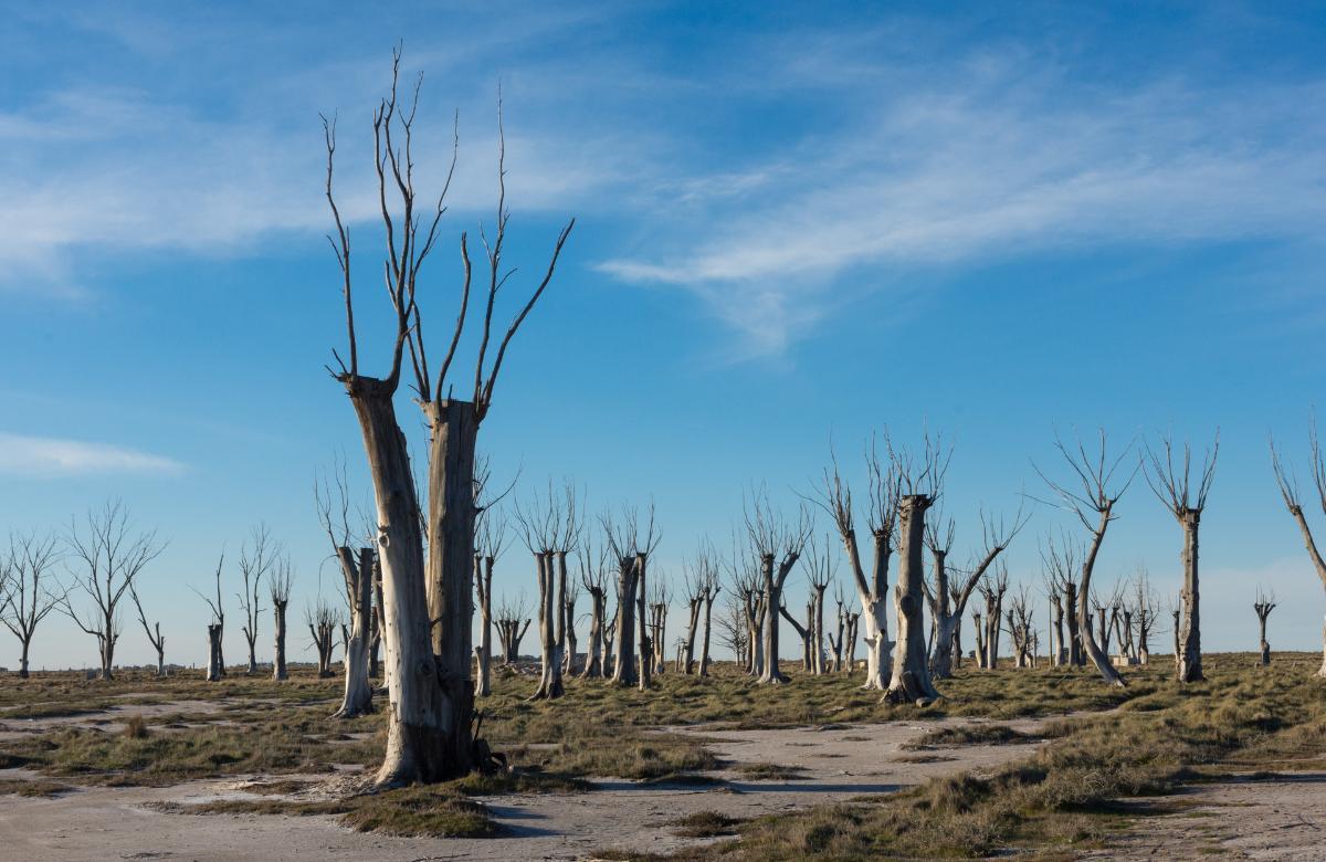 stille Orte Epecuén