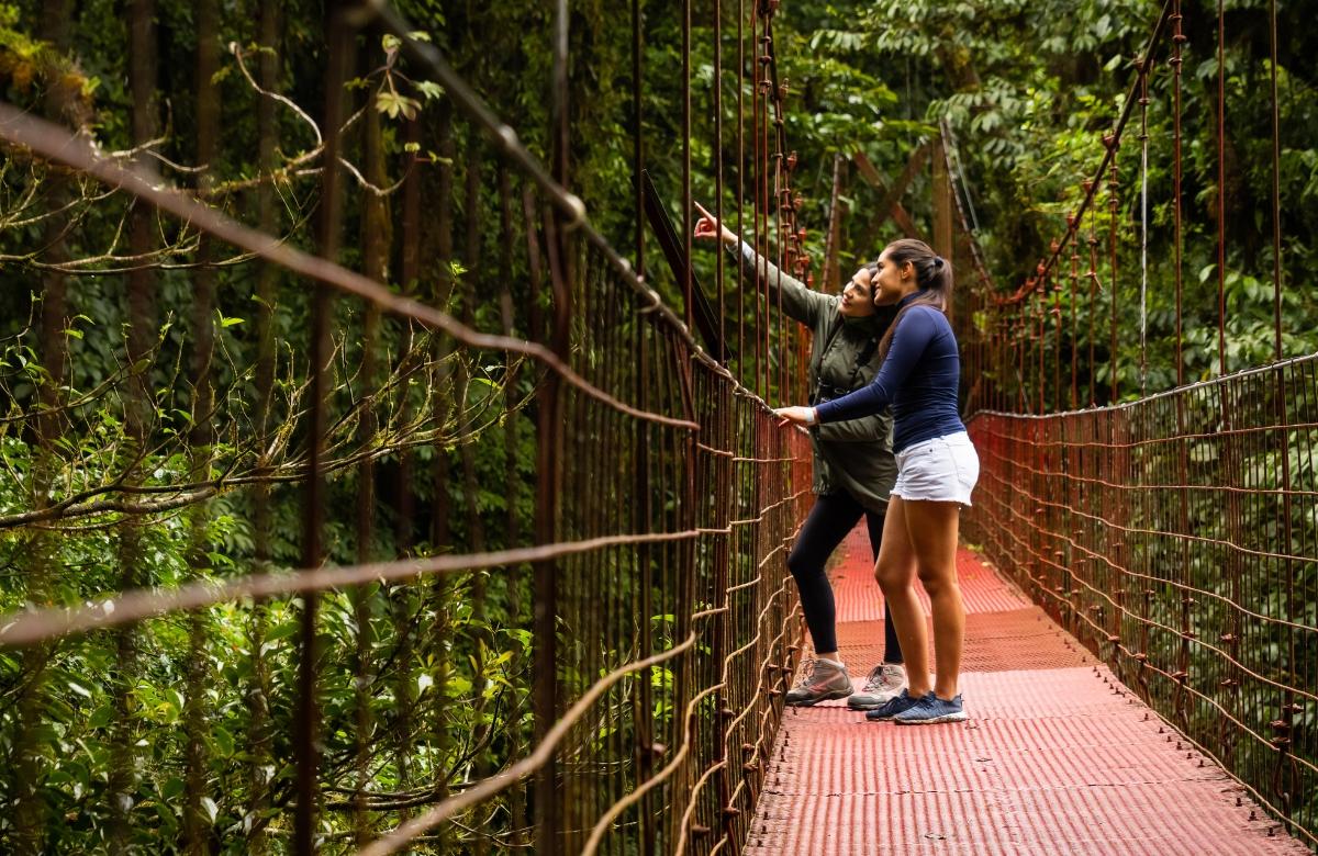Monteverde