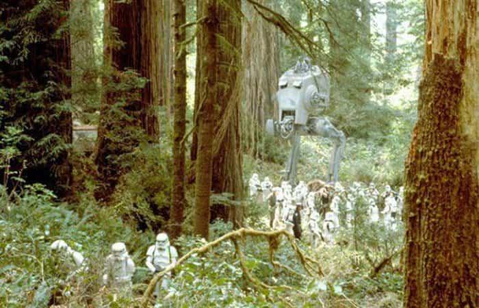 Orte für Star Wars-Fans | Nationalpark Redwood