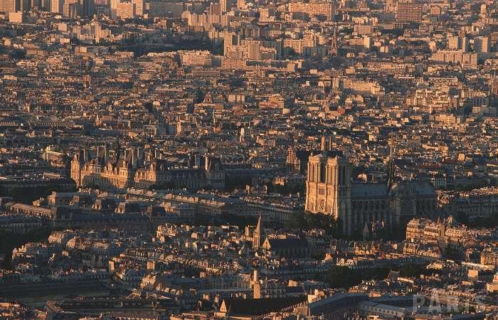 Imkerei in Paris