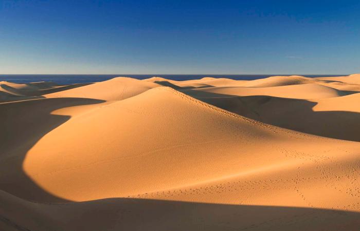 Verantwortungsbewusster Tourismus auf den Kanarischen Inseln: die Dünen schützen