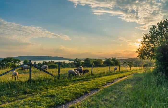 Motivi per scegliere una casa rurale per una vacanza in famiglia