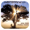 LCL22 - Mastermind XS - One dub many roots