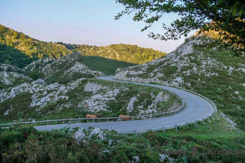 Carretera para visitar los Lagos de Covadonga
