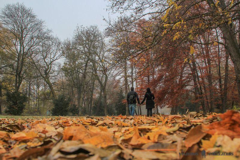 Múnich, uno de los lugares que no puedes perderte al viajar a Baviera