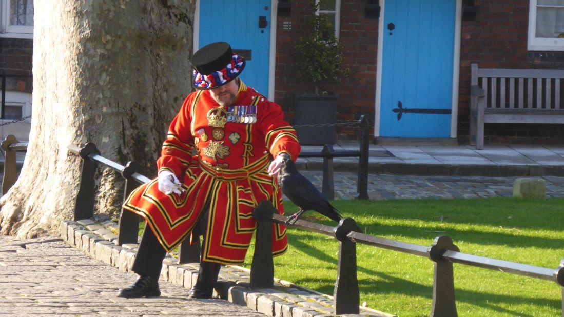 <strong>Bond with birds:</strong> Skaife has a particular bond with one of his ravens -- Merlin, affectionately known as Merlina -- pictured here. 