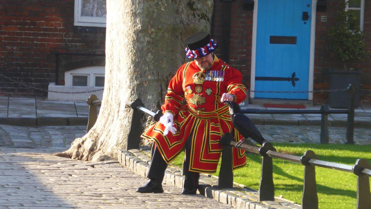 Ravenmaster Chris Skaife looks after the ravens at the Tower of London.