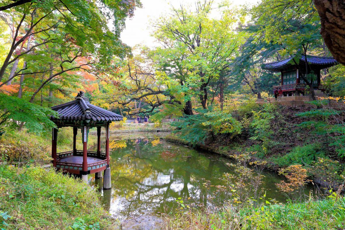 Rather than defying the natural terrain, the nearly 30 pavilions in the garden of Changdeokgung in Seoul nestle perfectly into the hilly landscape, South Korea - © Parinya Chaiwut / Shutterstock