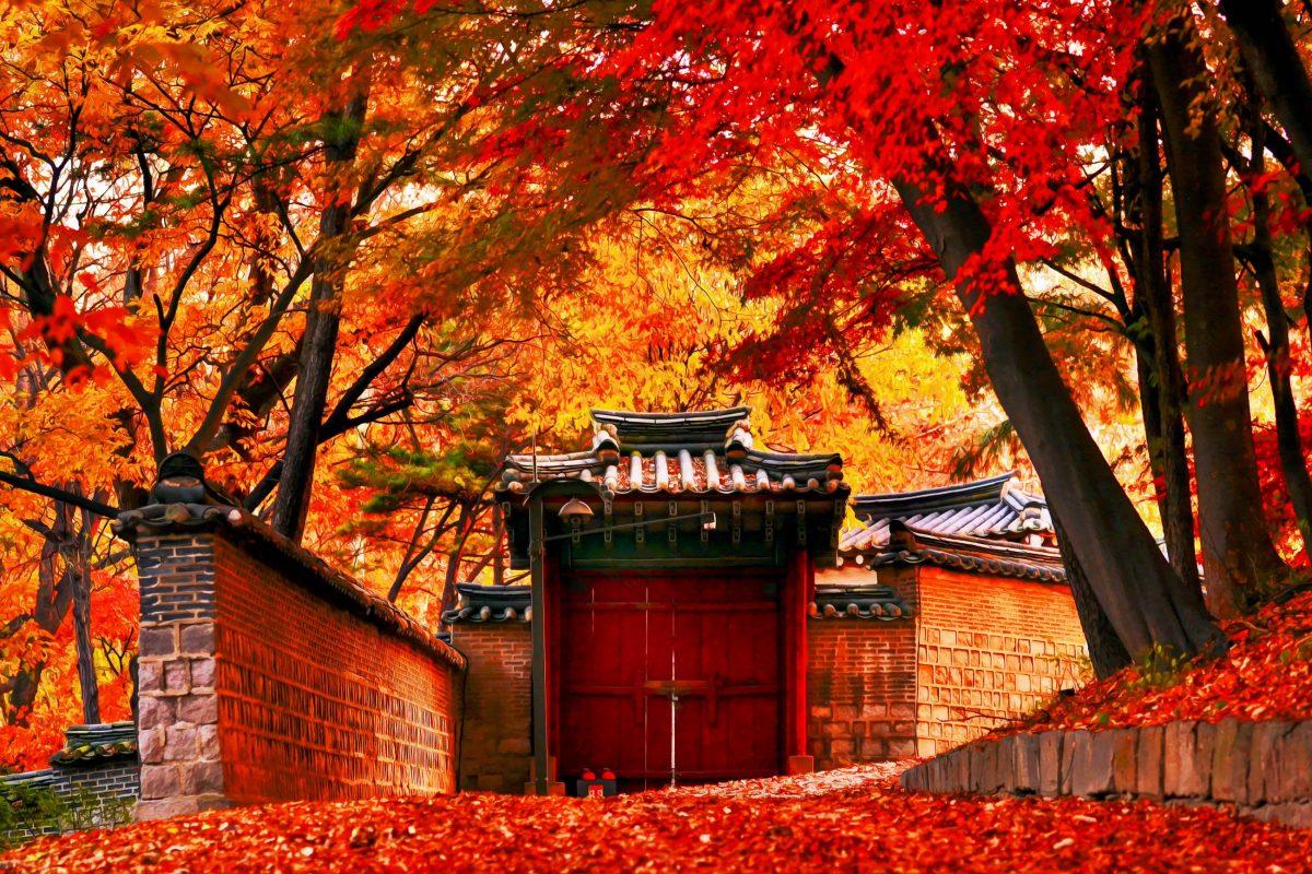 Autumn colours in the magnificent gardens of the Changdeokgung Royal Palace in Seoul, South Korea - © Moo teaforthree / Shutterstock