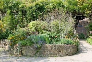 Culpeper Community Garden