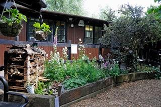 Camley Street Natural Park Kings Cross