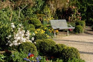 Just off ShootUp Hill youll find Mapesbury Dell one of the citys finest community gardens. Rescued from dereliction and...