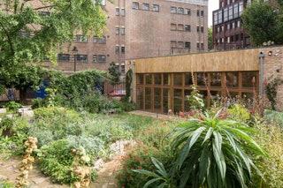 This little community garden just off Shaftesbury Avenue has survived being uprooted by CrossRail and reopened with a...