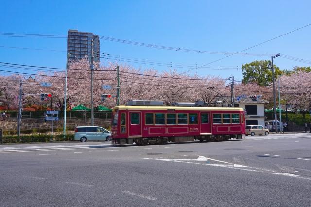 Tramway Sakura